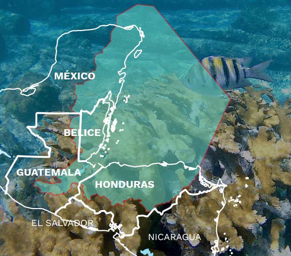 Arrecife Mesoaméricano