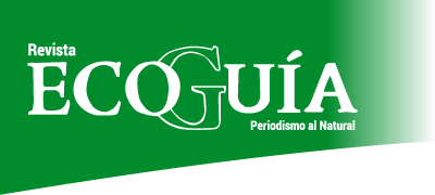 Ecoguia-logo