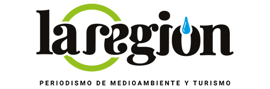 la-region-logo